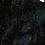 \includegraphics[ height=1cm]{Img/PeloNero}