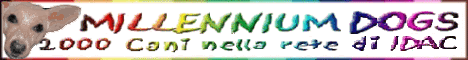 banner maya